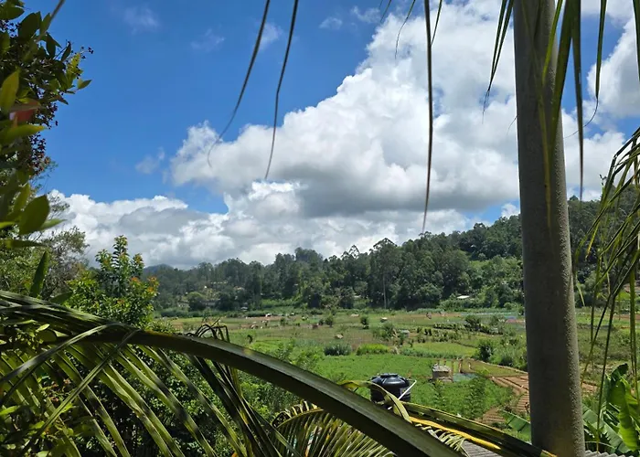 Cottage Purana